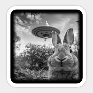 Funny Bunny Selfie with UFO Sticker